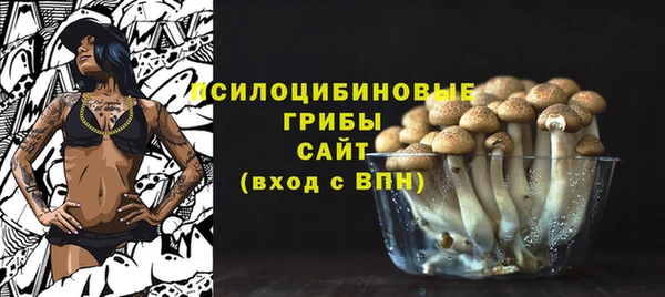 молекула духа Горняк