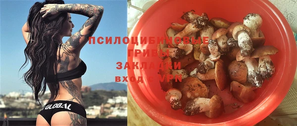 молекула духа Горняк