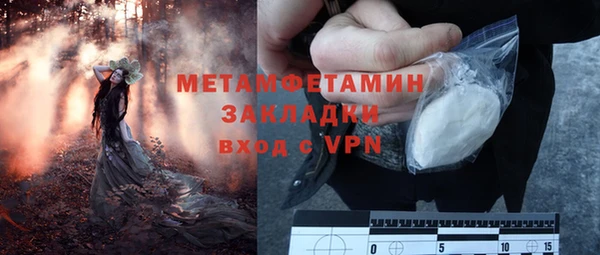 ПСИЛОЦИБИНОВЫЕ ГРИБЫ Горнозаводск